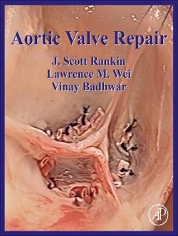 rankin_aortic_valve_repair